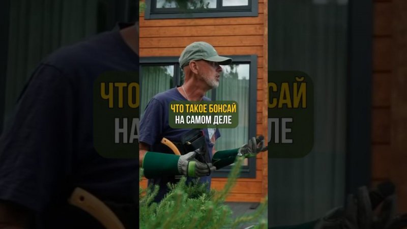 Что такое бонсай на самом деле
