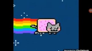 котик какает радугой