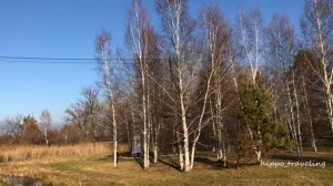 Дальнереченск, ЛАЗО, Приморский край DJI 4k