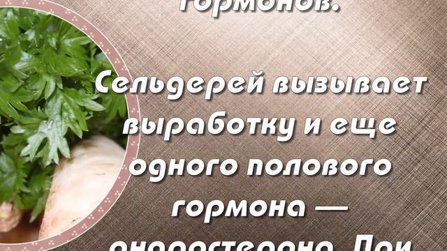 Чем полезен сельдерей для мужчин?