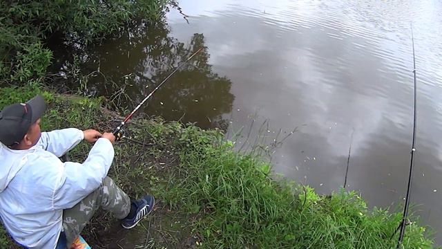 Горе рыбаки или сегодня не клюёт смотреть онлайн