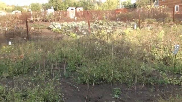 Брат закрыл третью сторону дома - бани сайдингом/ Обзор дома, планы до зимы. смотреть онлайн