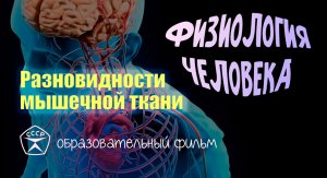 Разновидности мышечной ткани.