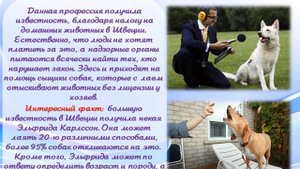 Медиакруиз "Самые необычные и интересные профессии мира"
