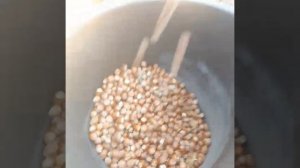 фундук  очистка от плюски