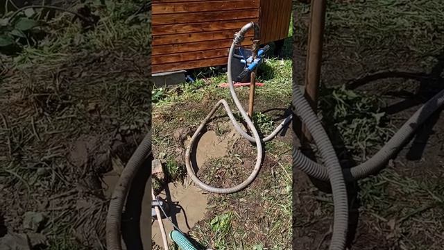 абиссинка не получилась из за дезинформации.зато почистили старую скважину под погружной насос. смотреть онлайн