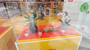 Первый раз в городе Екатеринбург. Центр города, торговый центр, зоопарк. Впечатления, эмоции. Влог