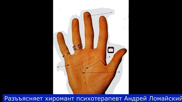 Хиромантия. Разъяснения и иллюстрации. Хиромант Андрей Ломайский. Линия судьбы - прерывается