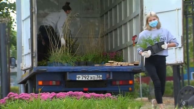 Клумбы для школы №40 (г.Воронеж). Проект "Кладезь знаний" смотреть онлайн