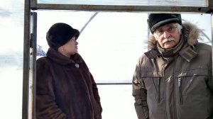 Как спасти растения в теплице от жары и конденсата
