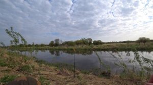 Рыбалка на крупного карася на поплавочную удочку. Супер клёв с самого утра. Ловля карася в канавах