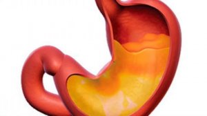 Умное здоровье. Пилорус