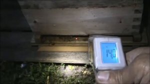 Видео №45. Альпийский улей. Вентиляция улья пчелами .