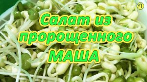 Салат из пророщенного Маша (Живая Кухня проекта Живая Пища) (видео 203)