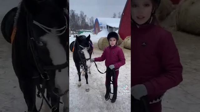 Когда очень хочешь лошадь #shorts