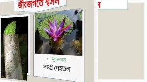 সপ্তম,বিজ্ঞান,৪র্থ অধ্যায়-শ্বসন/Class 7,Science, Respiration