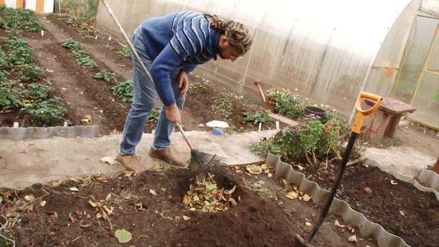 Как с пользой для дела избавиться от опавшей листвы на садовом участке? смотреть онлайн