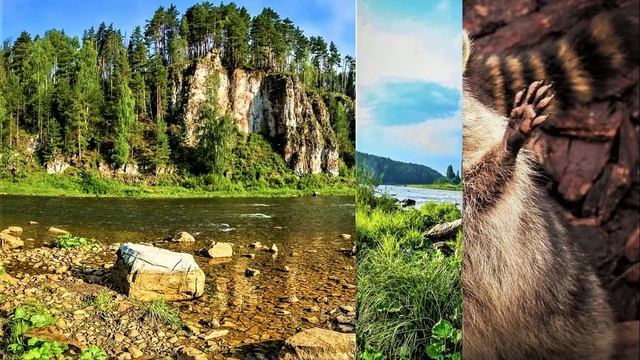 ✔ *АрхиСРОЧНО* « Высшие ~ Как жить 5-D жизнью ! » смотреть онлайн