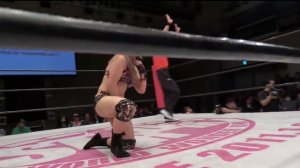 Io Shirai vs. Shayna Baszler (Stardom Stardom Of Champions)