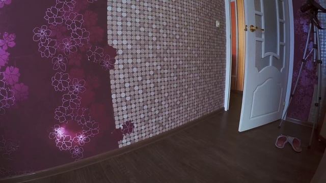 ОБЩАЮСЬ С КОШКОЙ ЧЕРЕЗ КОШАЧИЙ ПЕРЕВОДЧИК