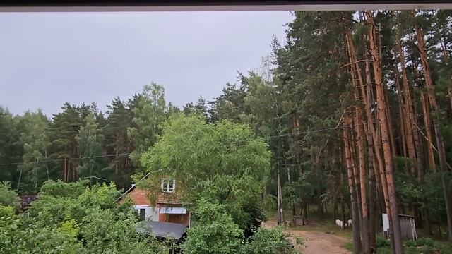 ВОЕННЫЙ МЯТЕЖ ИЛИ ИГРА?... смотреть онлайн