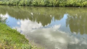 Речка Алей. Алтайский край.