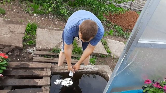 Наши 3000 цветов в самой лучшей турбазе Башкирии. смотреть онлайн