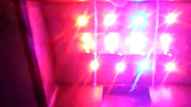 Гидропоника в домашних условиях. Гроубокс. гидропоника своими руками.