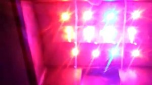 Гидропоника в домашних условиях. Гроубокс. гидропоника своими руками.