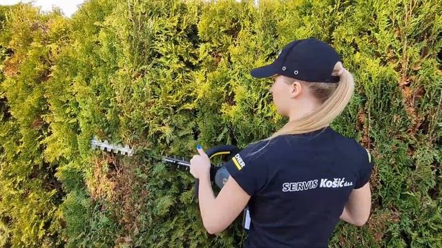 Karcher Škare za živicu HT 650/36 BP смотреть онлайн