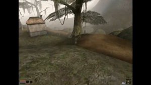 Morrowind Update