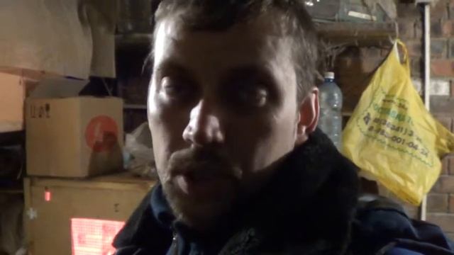 Содержание бройлеров и индюков вместе// Новая партия птицы смотреть онлайн