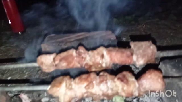 Ночевка на озере в лесу с палаткой.Готовим мясо на костре.Рыбалка.Утки.Шумная компания