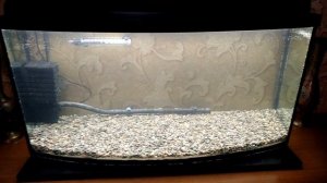 Запуск аквариума часть 1