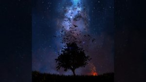 Книга Илая