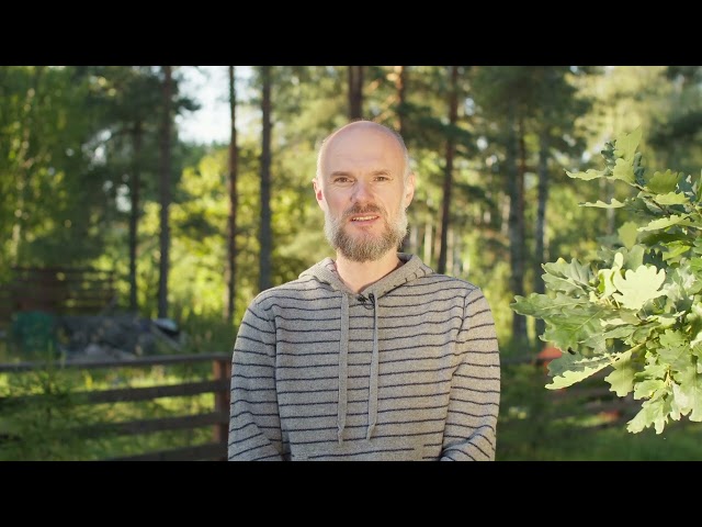 Отзыв Александра | Управление Внутренним Состоянием