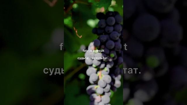 Судьба в твоих руках #уверенность_в_себе #mymotivation #motivation