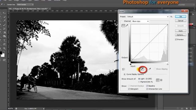 Photoshop cs6: Cách tách nền mây- vườn cây-đổi background смотреть онлайн
