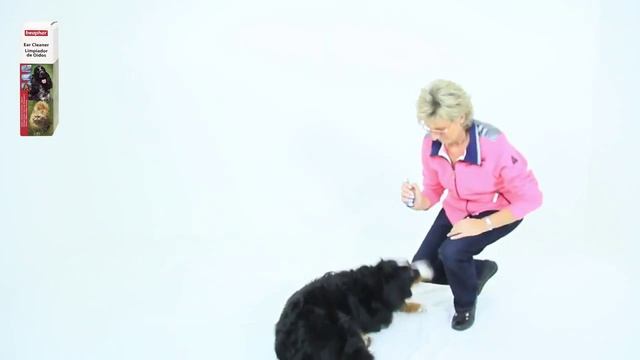 Beaphar Ear Cleaner Лосьон для ушей для кошек и собак смотреть онлайн