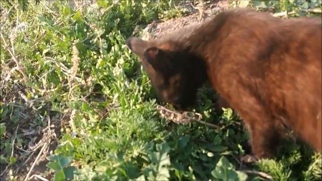 Научное познание.  Значение научной теории.
