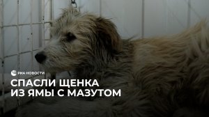 Спасли щенка из колодца с мазутом
