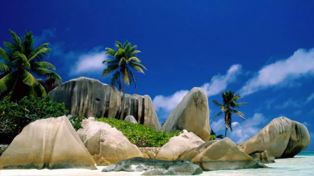 Водные виды смотреть онлайн