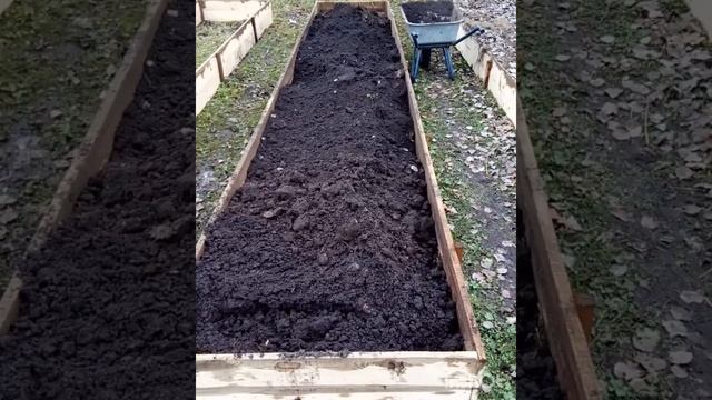 Как сделать теплые грядки! смотреть онлайн