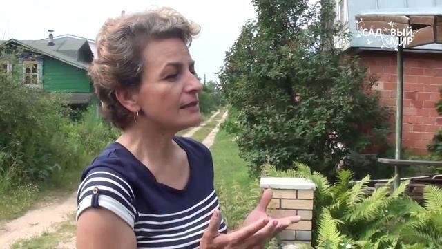 Как бороться со слизнями. Ящерицы против слизней