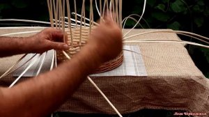 Плетение корзинки из сокового белого прута ивы. СВЕТЛАЯ, БЕЛАЯ, НАРЯДНАЯ.