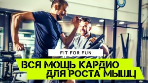 Кардио и рост мышечной массы, влияние и эффективность, лучшее кардио для роста мышц
