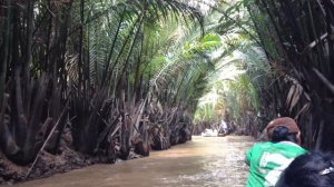 река Меконг, Вьетнам