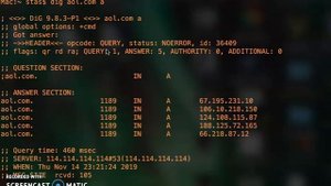 использование утилиты dig для доменов