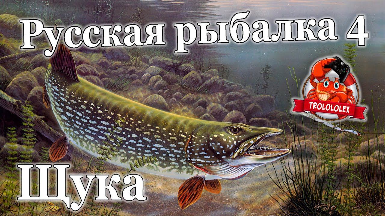 Русская рыбалка 4 Щука на старом остроге смотреть онлайн