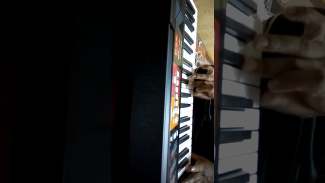 Sat samunder.Piano.Yamaha PSR F51..1 song..Mahe.. смотреть онлайн